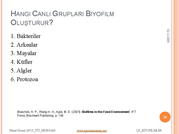 HANGI CANLI GRUPLARI BIYOFILM OLUŞTURUR? 02. 12. 2009 1. Bakteriler 2. Arkealar 3. Mayalar