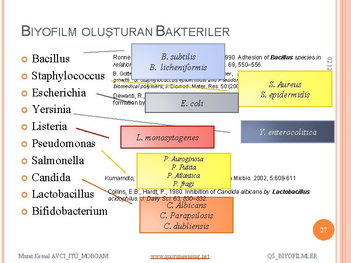 BIYOFILM OLUŞTURAN BAKTERILER C. dubliensis Murat Kemal AVCI_İTÜ_MOBGAM www. quorumsensing. net 02. 12. 2009