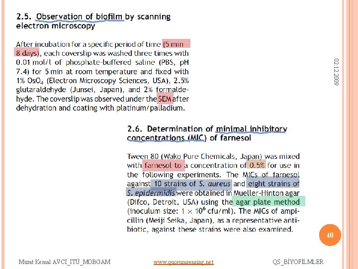 02. 12. 2009 40 Murat Kemal AVCI_İTÜ_MOBGAM www. quorumsensing. net QS_BİYOFİLMLER 