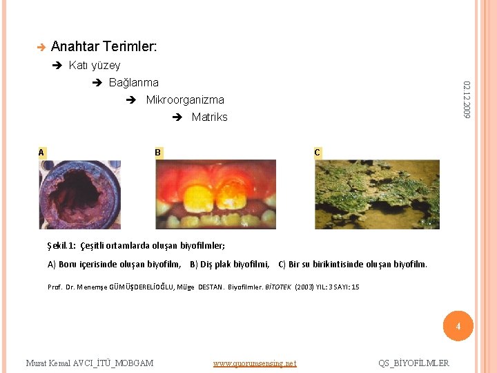  Anahtar Terimler: Katı yüzey 02. 12. 2009 Bağlanma Mikroorganizma Matriks A B C