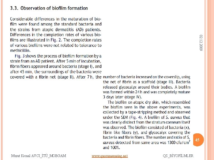 02. 12. 2009 45 Murat Kemal AVCI_İTÜ_MOBGAM www. quorumsensing. net QS_BİYOFİLMLER 