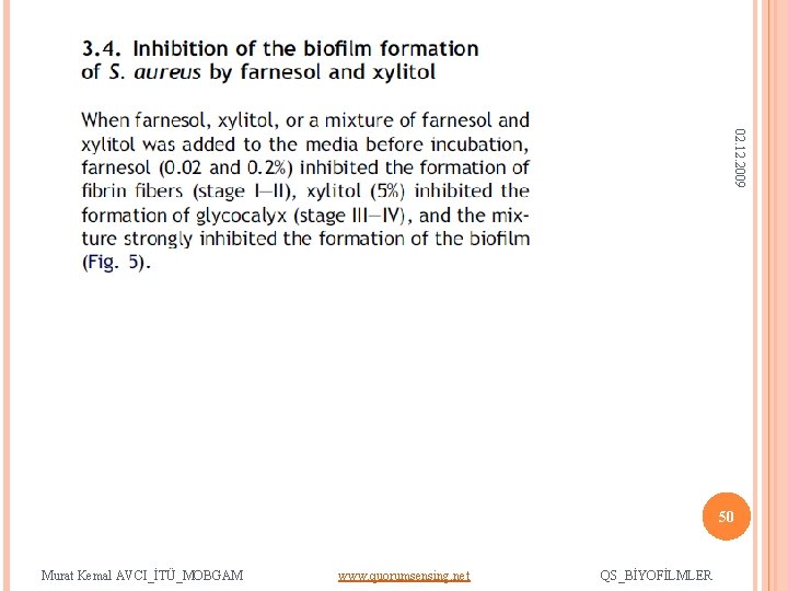 02. 12. 2009 50 Murat Kemal AVCI_İTÜ_MOBGAM www. quorumsensing. net QS_BİYOFİLMLER 