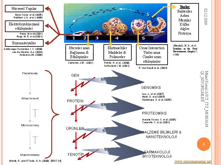 Nuno Cerca et al. (2005) Galdbart, J. O. et al. (1999) Elektrobiyokimyasal etkileşimler Gross,