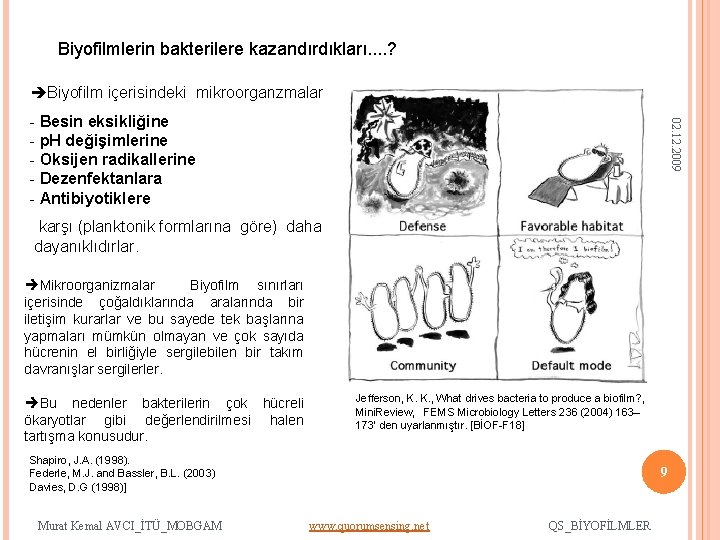 Biyofilmlerin bakterilere kazandırdıkları. . ? Biyofilm içerisindeki mikroorganzmalar 02. 12. 2009 - Besin eksikliğine