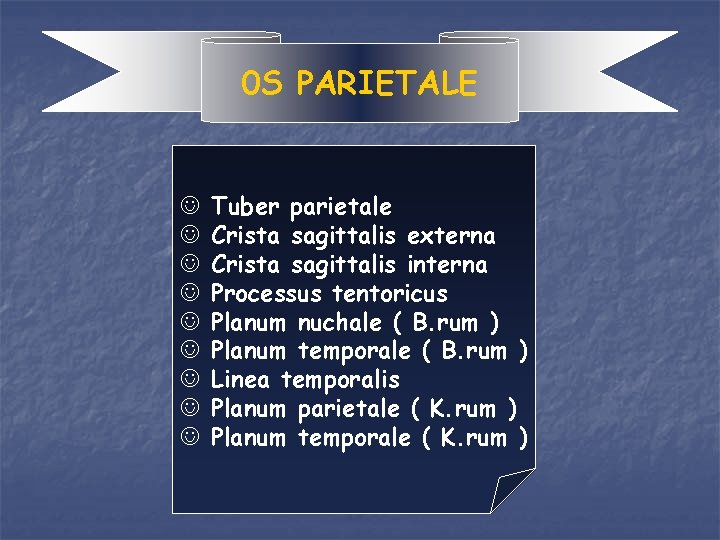 0 S PARIETALE J J J J J Tuber parietale Crista sagittalis externa Crista