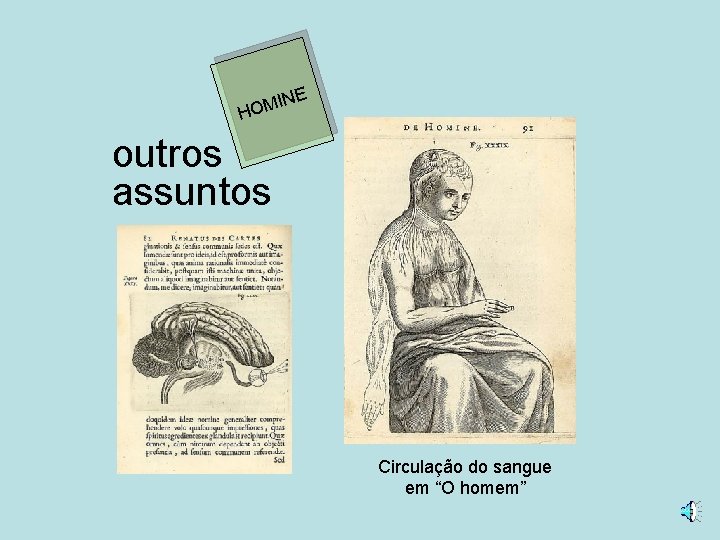 NE I HOM outros assuntos Circulação do sangue em “O homem” 