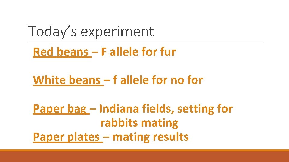 Today’s experiment Red beans – F allele for fur White beans – f allele