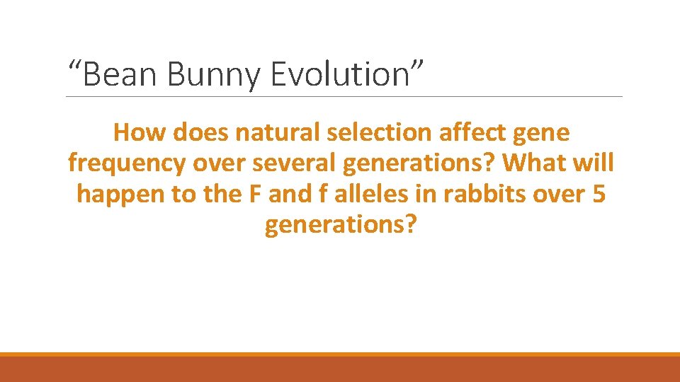 “Bean Bunny Evolution” How does natural selection affect gene frequency over several generations? What
