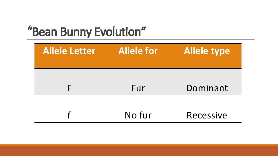 “Bean Bunny Evolution” Allele Letter Allele for Allele type F Fur Dominant f No