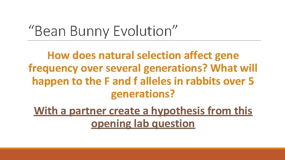 “Bean Bunny Evolution” How does natural selection affect gene frequency over several generations? What
