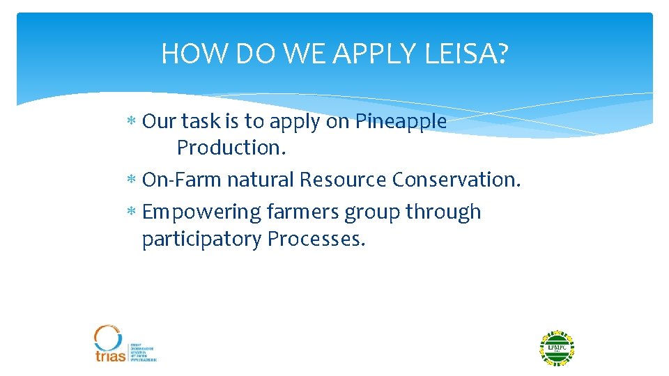 HOW DO WE APPLY LEISA? Our task is to apply on Pineapple Production. On-Farm