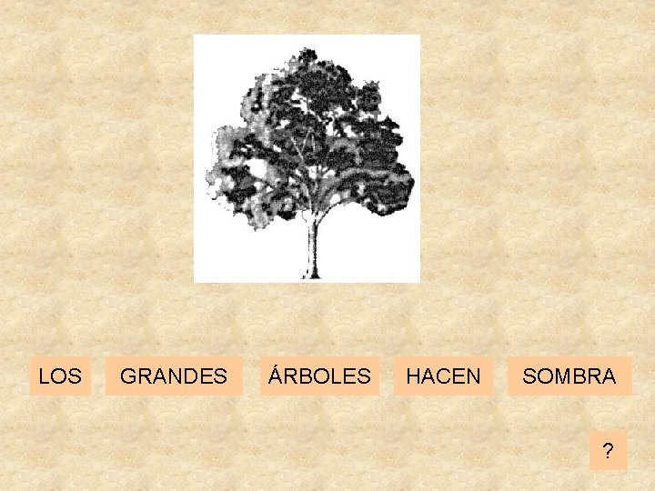 LOS GRANDES ÁRBOLES HACEN SOMBRA ? 