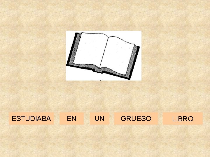 ESTUDIABA EN UN GRUESO LIBRO 