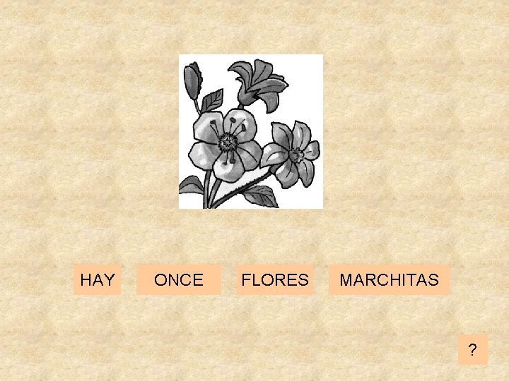 HAY ONCE FLORES MARCHITAS ? 