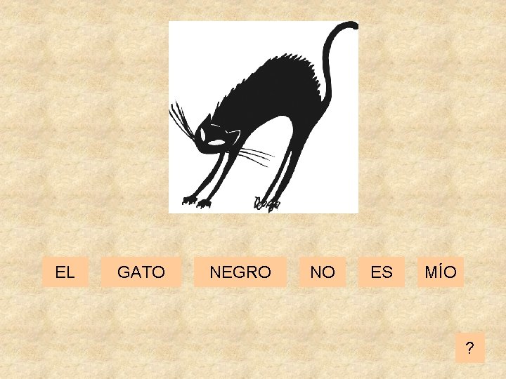EL GATO NEGRO NO ES MÍO ? 