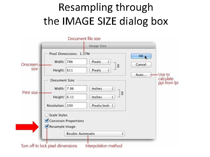 Resampling through the IMAGE SIZE dialog box 