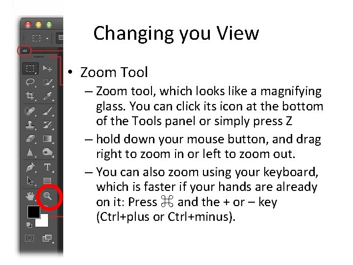 Changing you View • Zoom Tool – Zoom tool, which looks like a magnifying