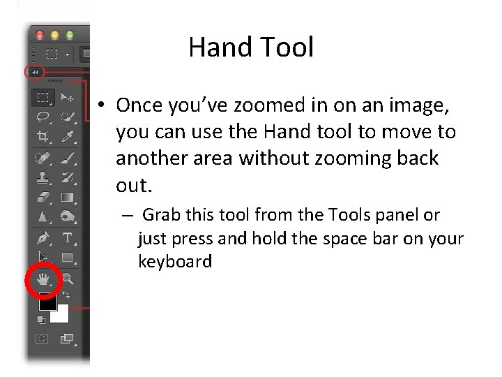 Hand Tool • Once you’ve zoomed in on an image, you can use the