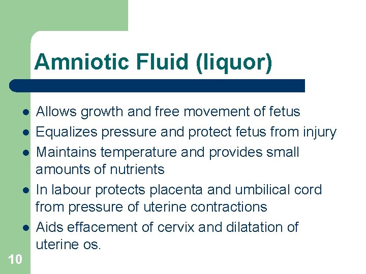 Amniotic Fluid (liquor) l l l 10 Allows growth and free movement of fetus