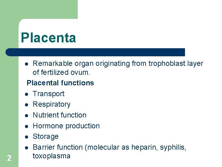 Placenta Remarkable organ originating from trophoblast layer of fertilized ovum. Placental functions l Transport