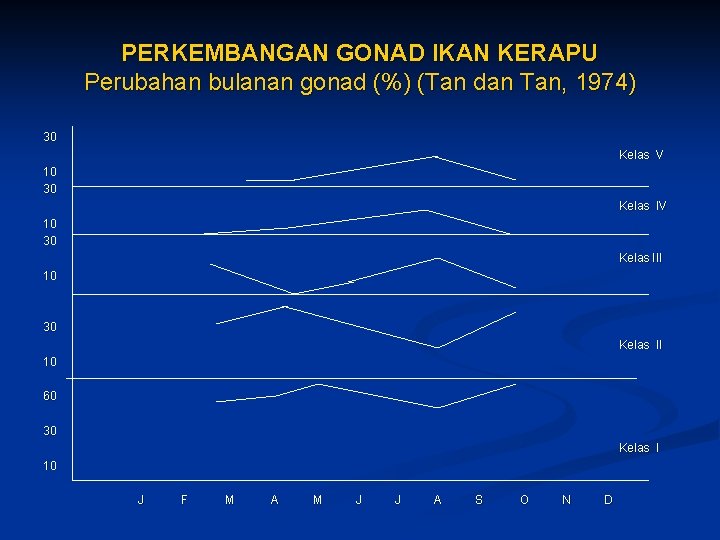 PERKEMBANGAN GONAD IKAN KERAPU Perubahan bulanan gonad (%) (Tan dan Tan, 1974) 30 Kelas