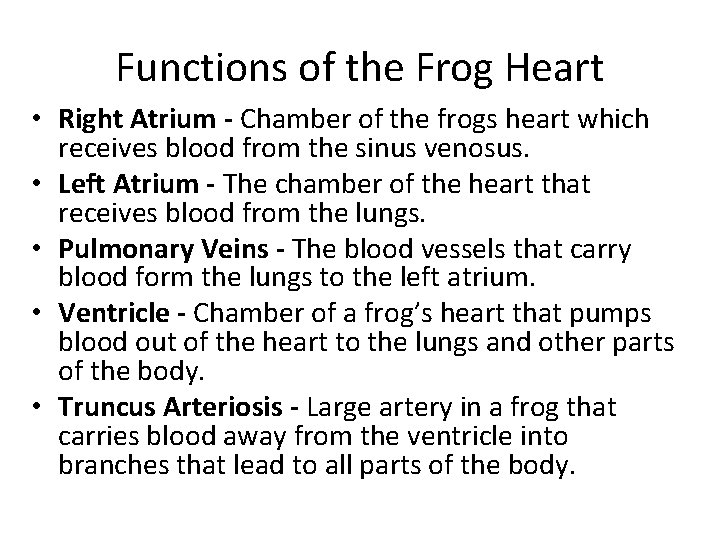 Functions of the Frog Heart • Right Atrium - Chamber of the frogs heart Functions of the Frog Heart • Right Atrium - Chamber of the frogs heart