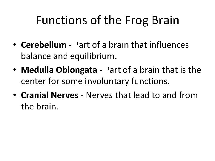 Functions of the Frog Brain • Cerebellum - Part of a brain that influences Functions of the Frog Brain • Cerebellum - Part of a brain that influences