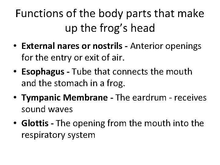 Functions of the body parts that make up the frog’s head • External nares Functions of the body parts that make up the frog’s head • External nares