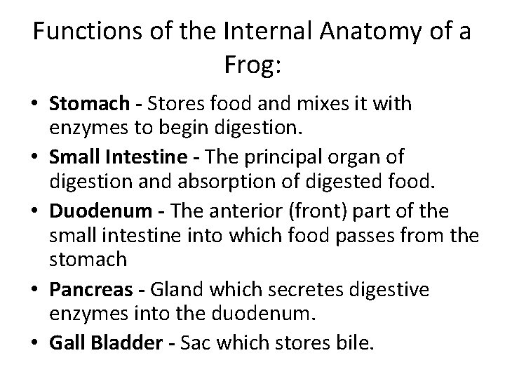 Functions of the Internal Anatomy of a Frog: • Stomach - Stores food and Functions of the Internal Anatomy of a Frog: • Stomach - Stores food and