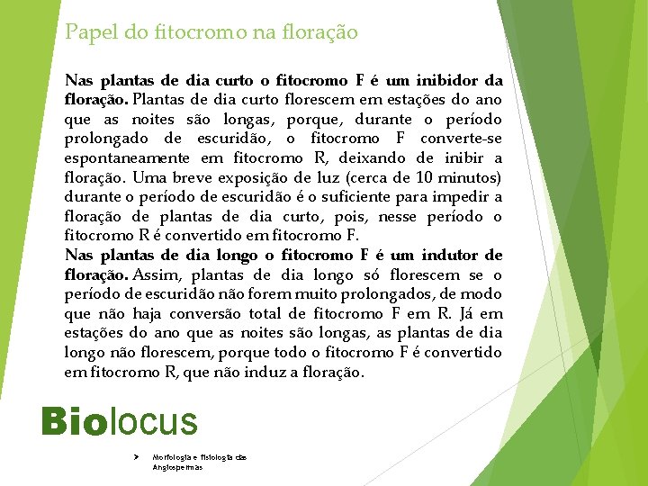 Papel do fitocromo na floração Nas plantas de dia curto o fitocromo F é