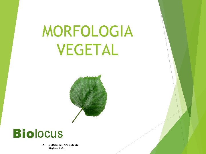 MORFOLOGIA VEGETAL Biolocus Ø Morfologia e fisiologia das Angiospermas 