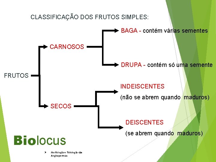 CLASSIFICAÇÃO DOS FRUTOS SIMPLES: BAGA - contém várias sementes CARNOSOS DRUPA - contém só