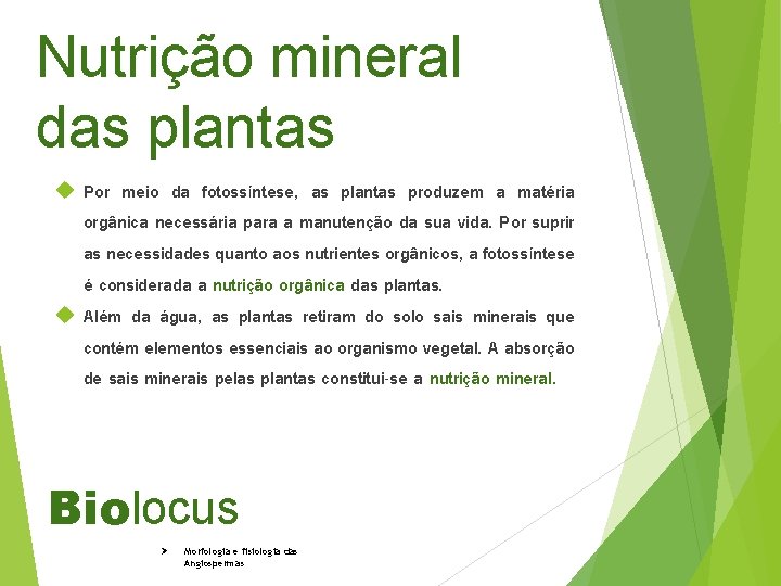 Nutrição mineral das plantas Por meio da fotossíntese, as plantas produzem a matéria orgânica