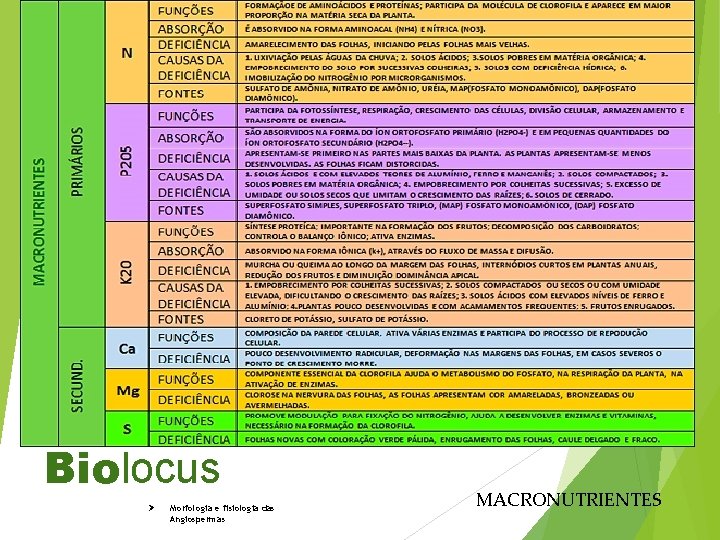 Biolocus Ø Morfologia e fisiologia das Angiospermas MACRONUTRIENTES 