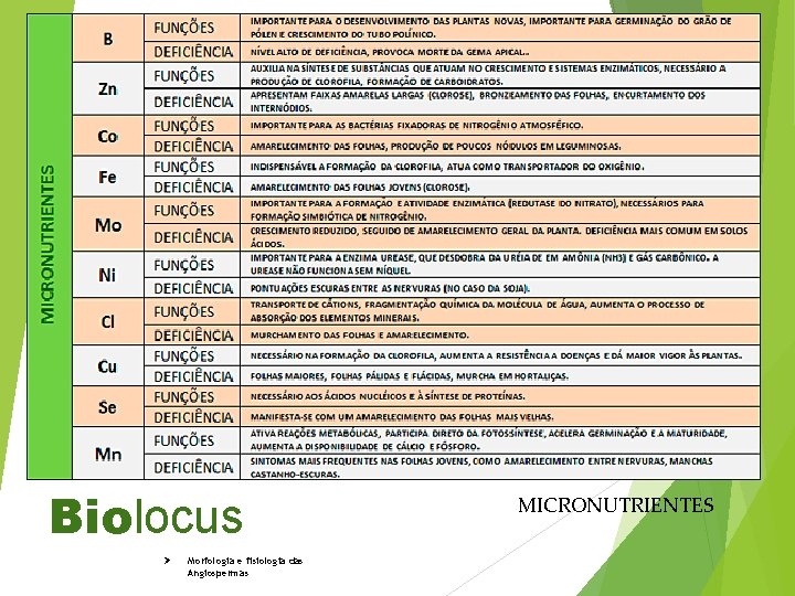 Biolocus Ø Morfologia e fisiologia das Angiospermas MICRONUTRIENTES 