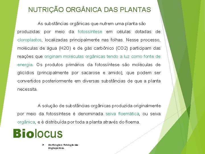 NUTRIÇÃO ORG NICA DAS PLANTAS As substâncias orgânicas que nutrem uma planta são produzidas