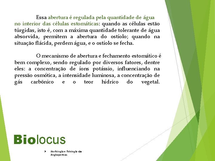 Essa abertura é regulada pela quantidade de água no interior das células estomáticas: quando