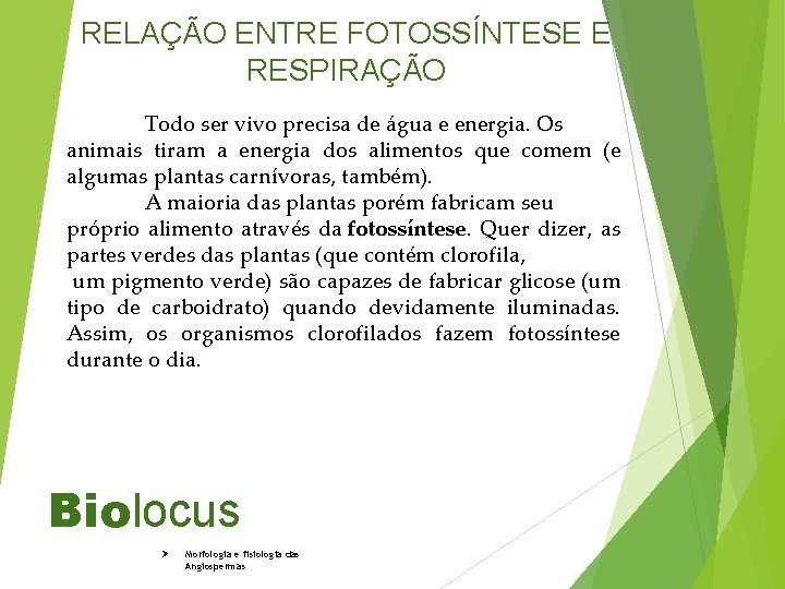 RELAÇÃO ENTRE FOTOSSÍNTESE E RESPIRAÇÃO Todo ser vivo precisa de água e energia. Os