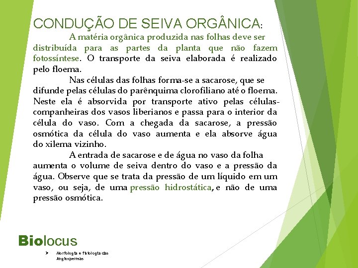 CONDUÇÃO DE SEIVA ORG NICA: A matéria orgânica produzida nas folhas deve ser distribuída