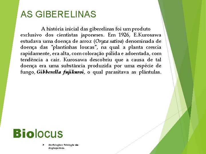 AS GIBERELINAS A história inicial das giberelinas foi um produto exclusivo dos cientistas japoneses.