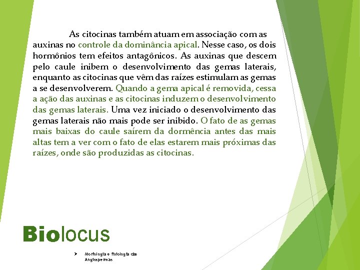 As citocinas também atuam em associação com as auxinas no controle da dominância apical.