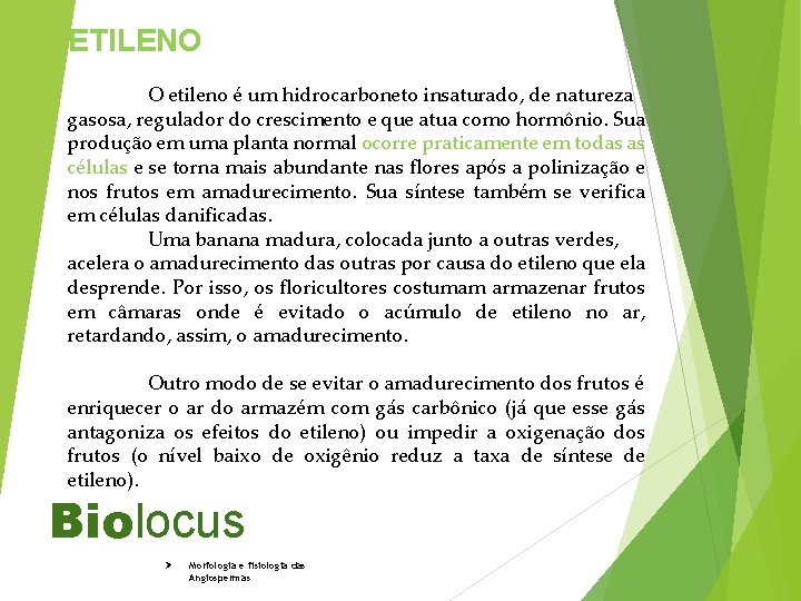 ETILENO O etileno é um hidrocarboneto insaturado, de natureza gasosa, regulador do crescimento e