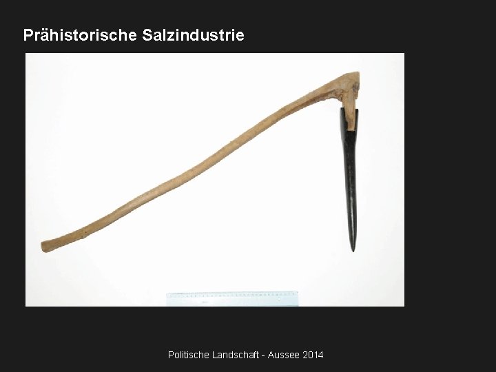 Prähistorische Salzindustrie Politische Landschaft - Aussee 2014 