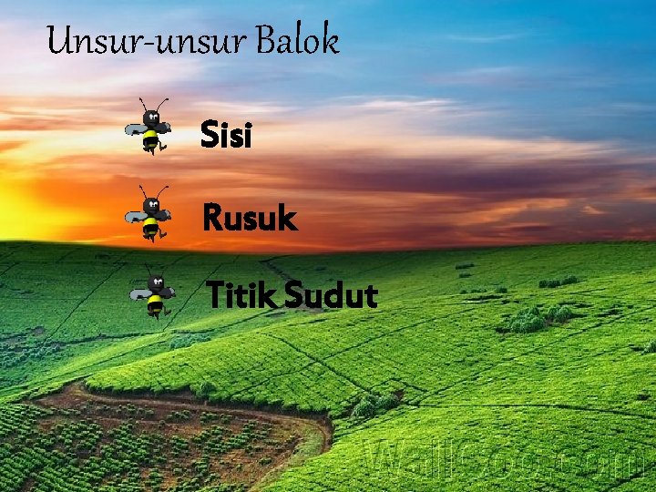 Unsur-unsur Balok Sisi Rusuk Titik Sudut 