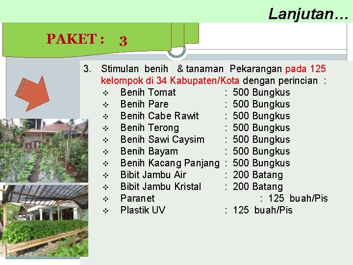  Lanjutan… PAKET : 3 3. Stimulan benih & tanaman Pekarangan pada 125 kelompok