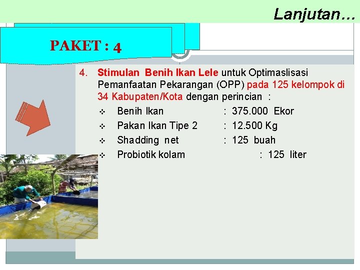  Lanjutan… PAKET : 4 4. Stimulan Benih Ikan Lele untuk Optimaslisasi Pemanfaatan Pekarangan