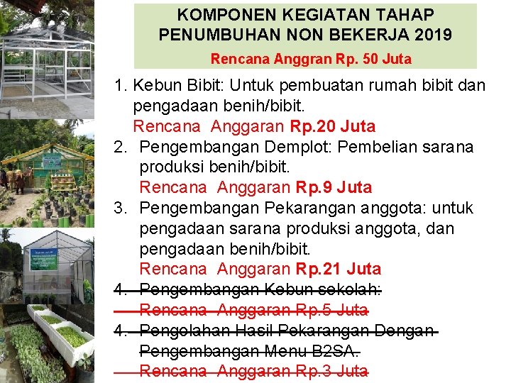 KOMPONEN KEGIATAN TAHAP PENUMBUHAN NON BEKERJA 2019 Rencana Anggran Rp. 50 Juta 1. Kebun