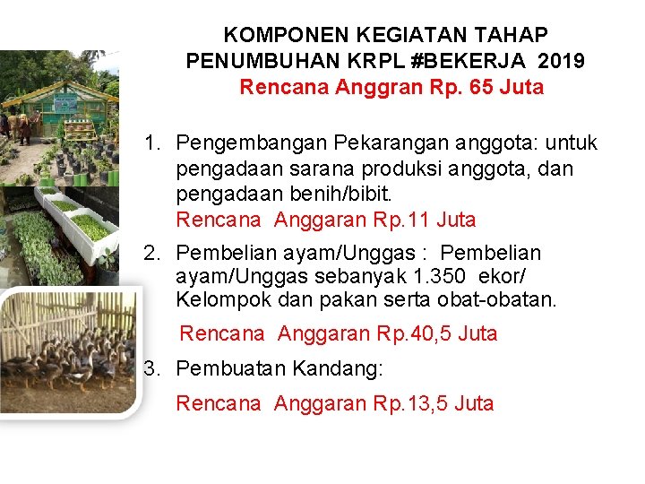 KOMPONEN KEGIATAN TAHAP PENUMBUHAN KRPL #BEKERJA 2019 Rencana Anggran Rp. 65 Juta 1. Pengembangan