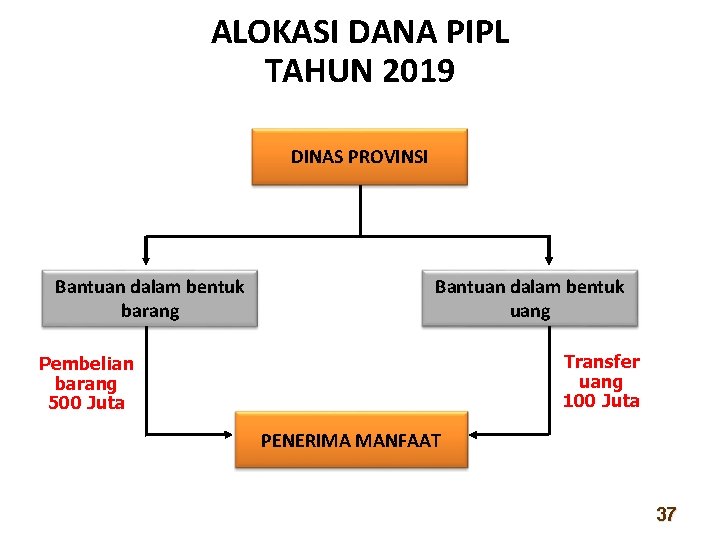 ALOKASI DANA PIPL TAHUN 2019 DINAS PROVINSI Bantuan dalam bentuk barang Bantuan dalam bentuk