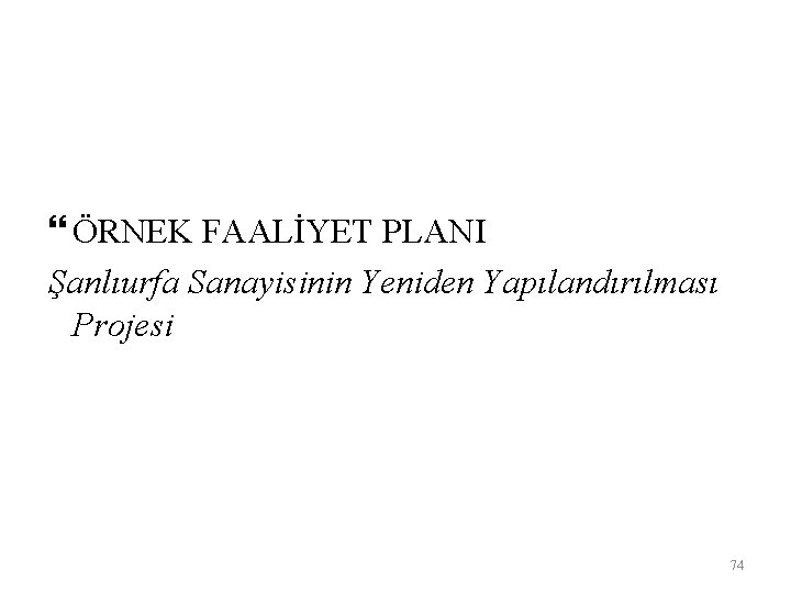  ÖRNEK FAALİYET PLANI Şanlıurfa Sanayisinin Yeniden Yapılandırılması Projesi 74 